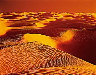 《守望先锋2》总监表示仍然想让剧情内容回归游戏